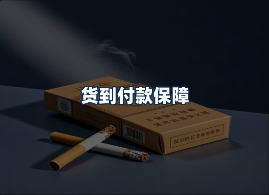 专业团队办公环境